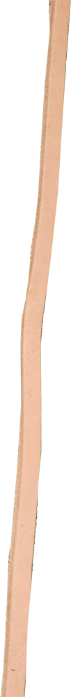 Leather Lace